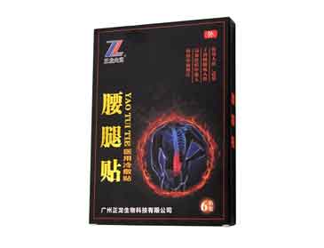 <b>dlningyuan.com夫克腰退贴腰腿疼痛劳损性疼痛软组织疼痛间盘源性疼痛风湿医用</b>