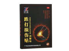 <b>dlningyuan.com跌打损伤贴</b>