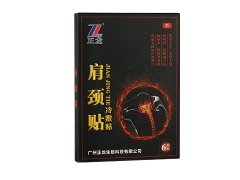 dlningyuan.com肩颈贴